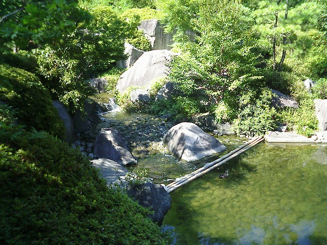 070814mejiro (2)