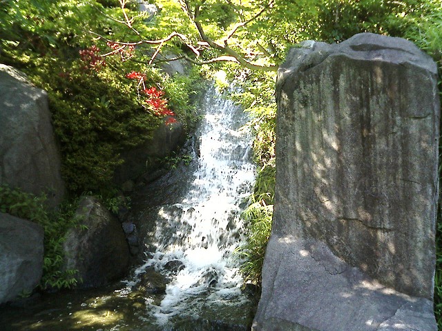 070814mejiro (5)