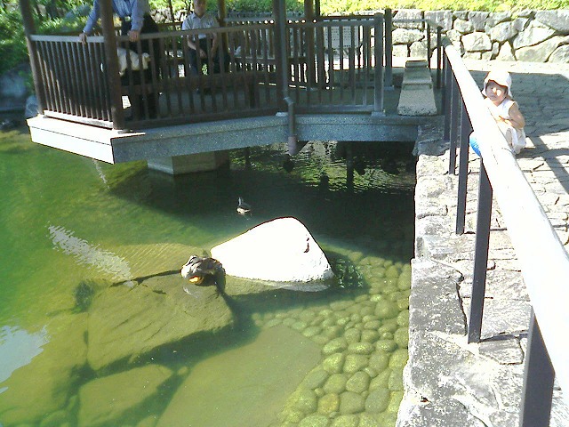 070814mejiro (7)