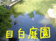 title_mejiro